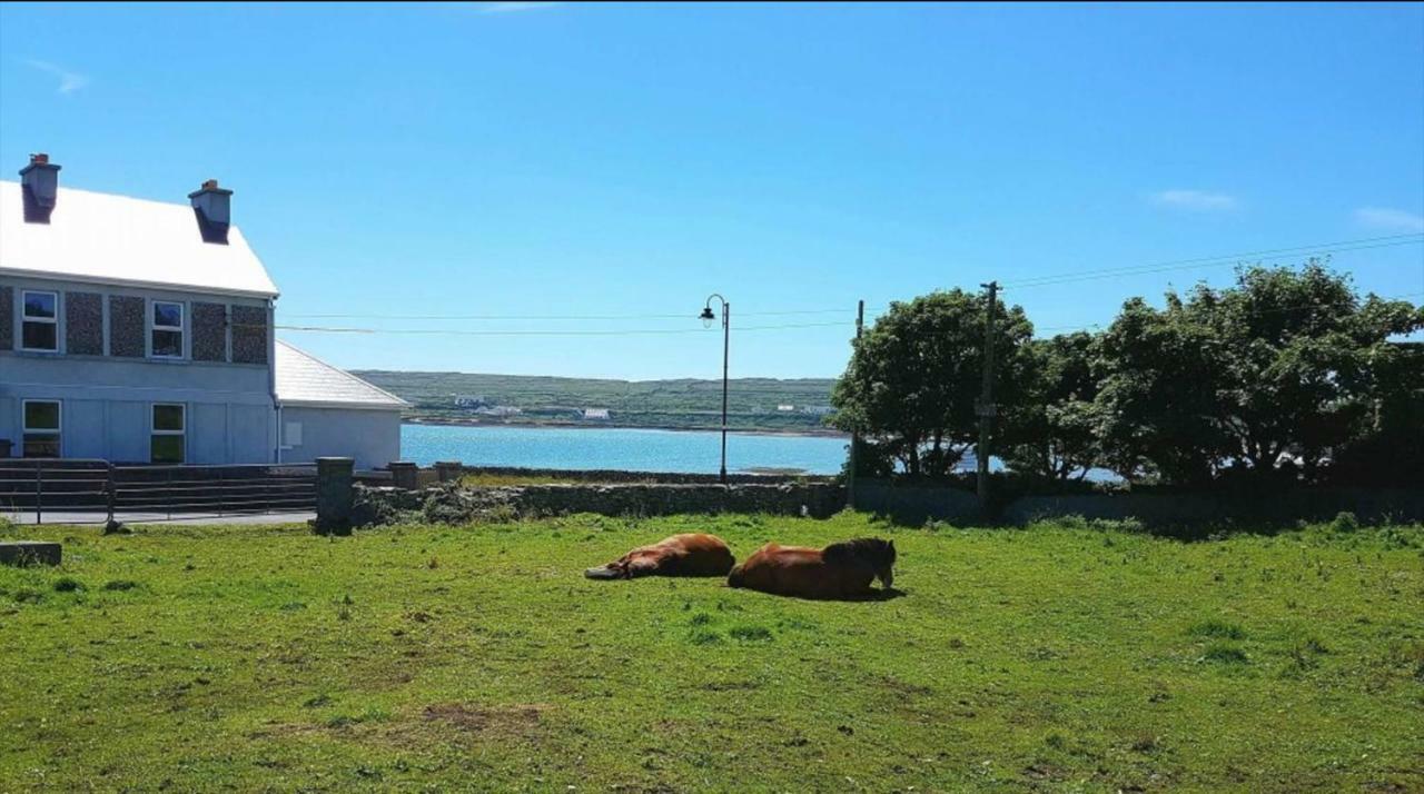 Seacrest B&B Kilronan  Exterior photo